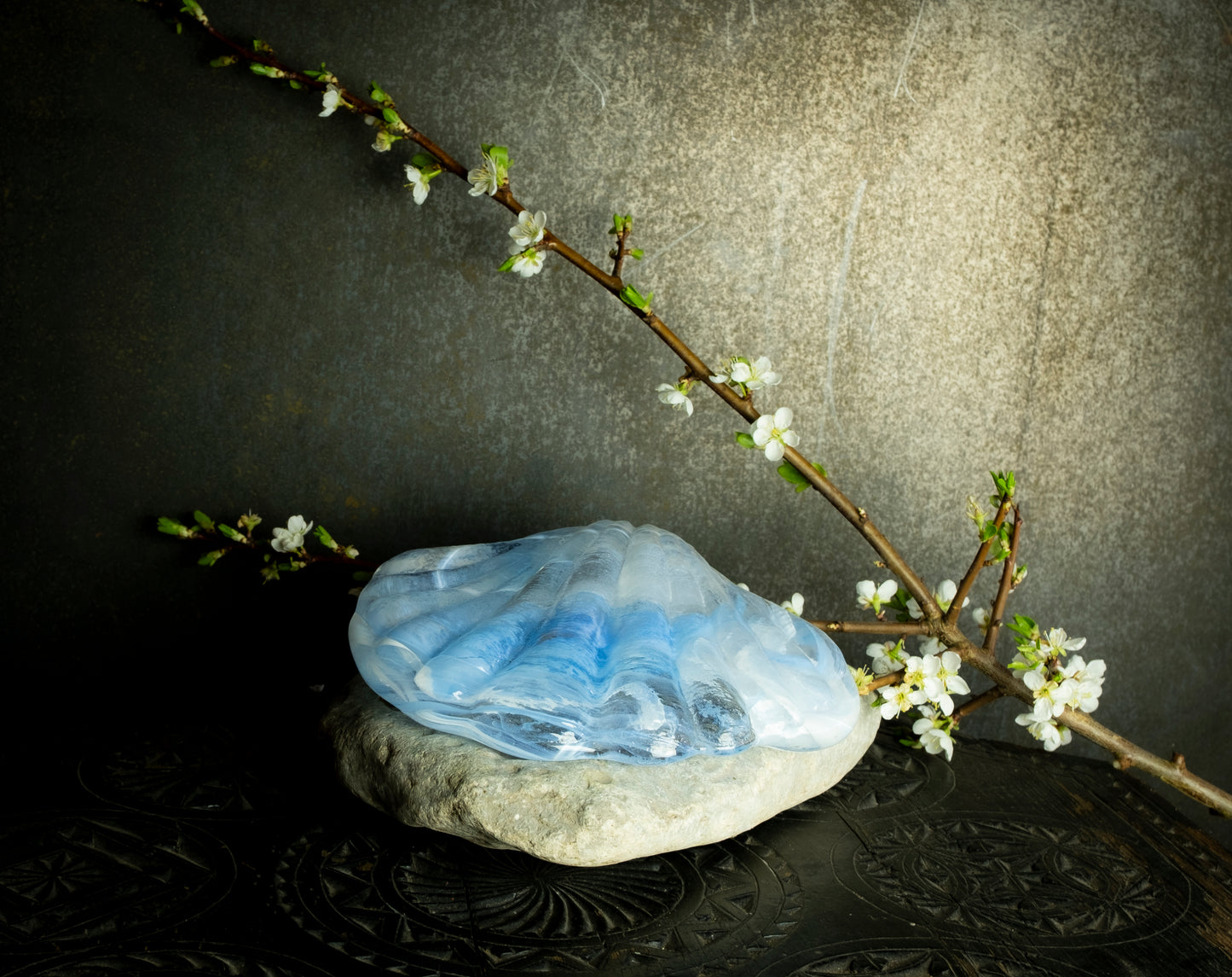 Åsa Jungnelius. Fina snäckan No.02