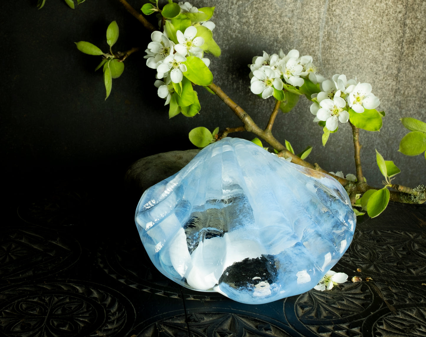 Åsa Jungnelius. Fina snäckan No.04